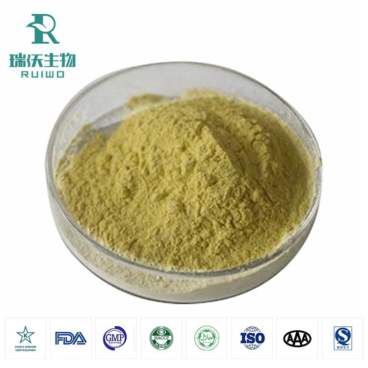 Extracto de ginseng americano