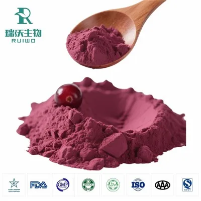 Polvo de fruta de arándano