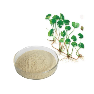 Polvo de extracto de centella asiática