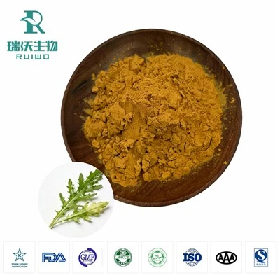 Extracto de hoja de lechuga silvestre